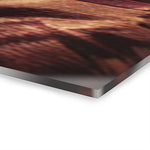 Le riche charlatan : l'histoire du succès d'un canard