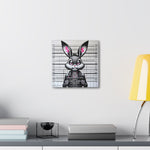 Graffiti of Prosperity: The Wealth Narrative