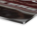 Rouler vers le succès : le Honda Motocross Hustle